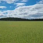 Ptasie Radio, 48.2 Ostoja Bukowo Nyaraló *