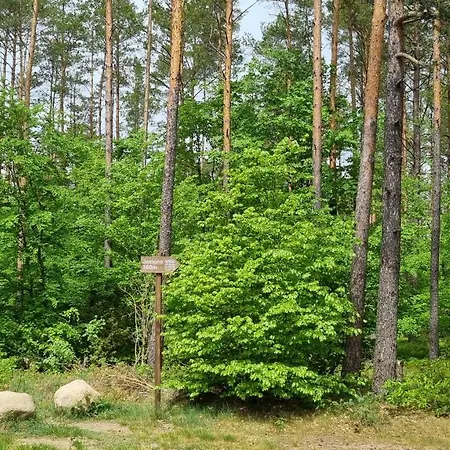 Ptasie Radio, 48.2 Ostoja Bukowo Holiday home Borowy Mlyn