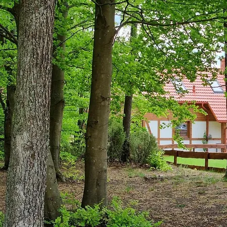 度假居 Ptasie Radio, 48.2 Ostoja Bukowo *