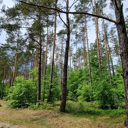 Ptasie Radio, 48.2 Ostoja Bukowo Holiday home *