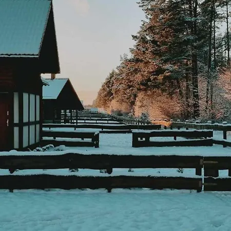 度假居 Ptasie Radio, 48.2 Ostoja Bukowo