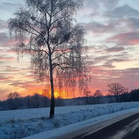 Ptasie Radio, 48.2 Ostoja Bukowo 度假居 Borowy Mlyn