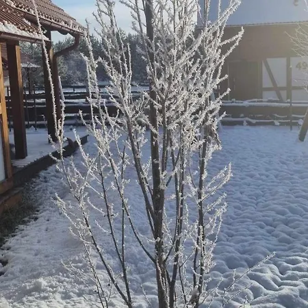 Ptasie Radio, 48.2 Ostoja Bukowo Holiday home