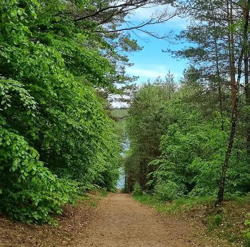 Semesterbostad Ptasie Radio, 48.2 Ostoja Bukowo