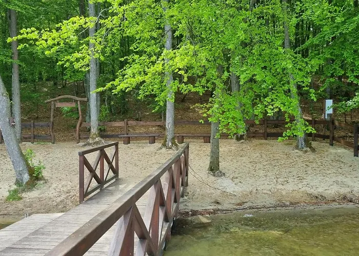 Ptasie Radio, 48.2 Ostoja Bukowo * Borowy Mlyn