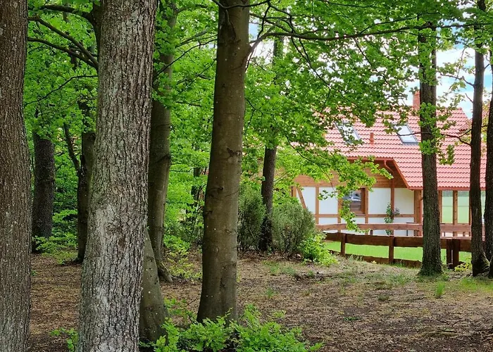 Semesterbostad Ptasie Radio, 48.2 Ostoja Bukowo *