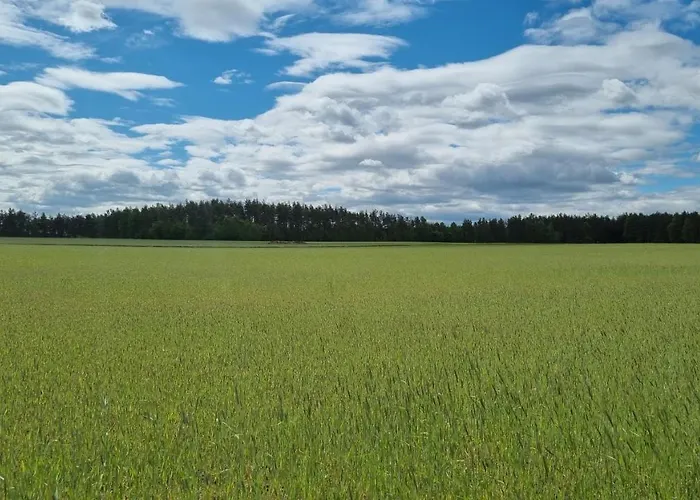 Ptasie Radio, 48.2 Ostoja Bukowo Semesterbostad *