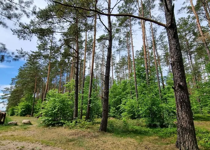 Ptasie Radio, 48.2 Ostoja Bukowo Semesterbostad *