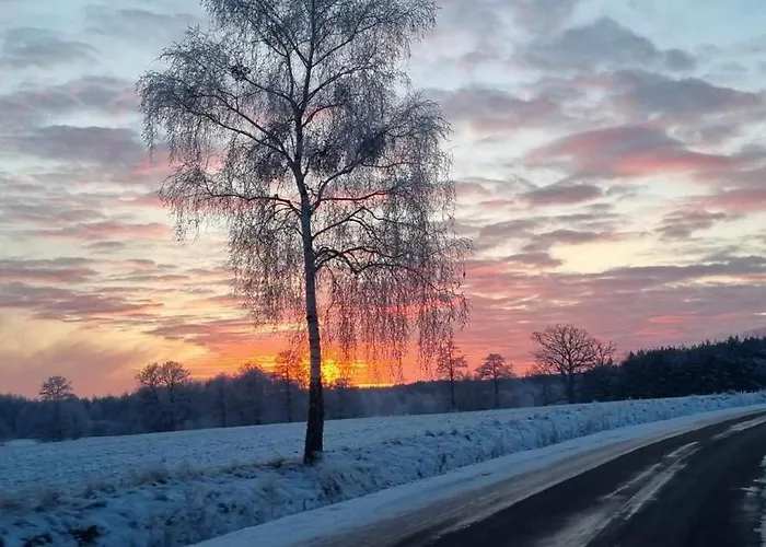 Ptasie Radio, 48.2 Ostoja Bukowo Semesterbostad Borowy Mlyn
