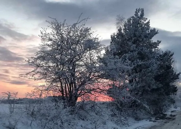 Ptasie Radio, 48.2 Ostoja Bukowo Borowy Mlyn