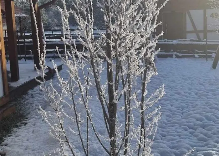 Ptasie Radio, 48.2 Ostoja Bukowo Semesterbostad